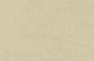 A close-up of a beige textured surface, resembling parchment or aged paper, with subtle variations in color and texture giving it an antique appearance.