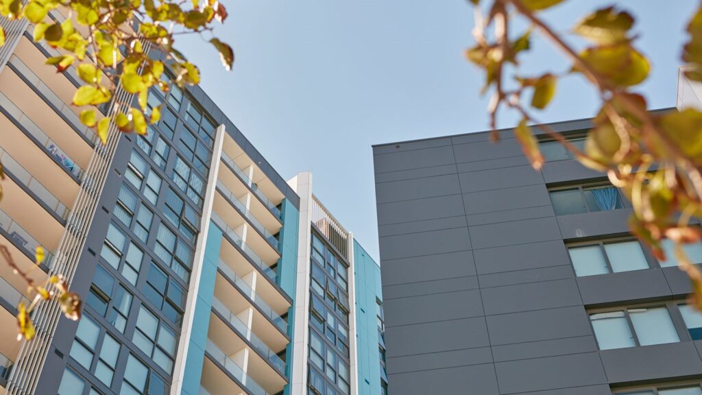 The image shows a low-angle view of modern high-rise buildings with large windows and balconies against a clear blue sky. Some leaves from a nearby tree frame the top of the image.